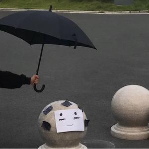 苏畅在线观看免费版最新章节
