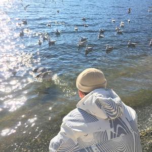 苏畅在线观看免费版最新章节
