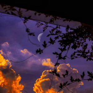 苏畅在线观看免费版最新章节
