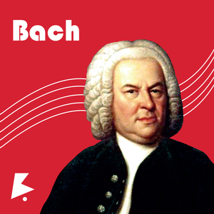 苏畅在线观看免费版最新章节
